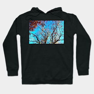 Long curved branches of beech trees with few red leaves Hoodie